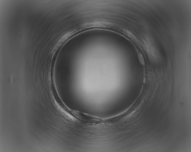 X0000052980938200507081119