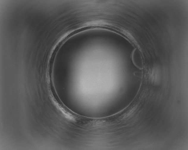 X0000052980939200507081119