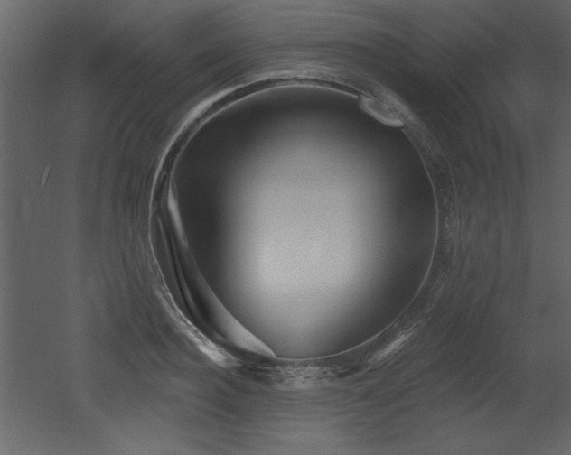 X0000052980940200507081119