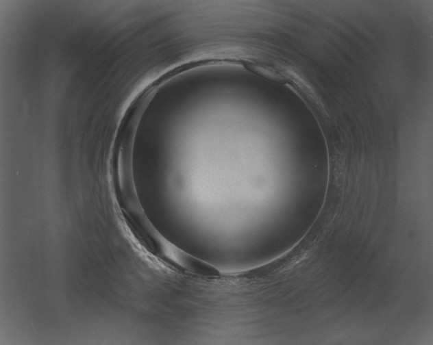X0000052980944200507081119