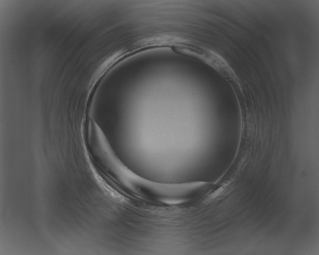 X0000052980946200507081119