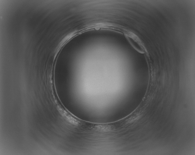 X0000052980954200507081119