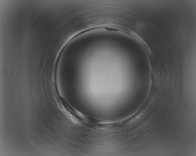 X0000052980956200507081119