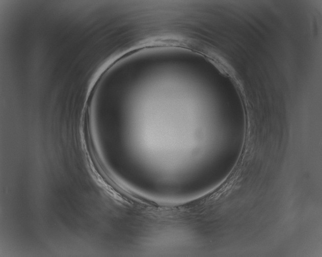 X0000052980960200507081119