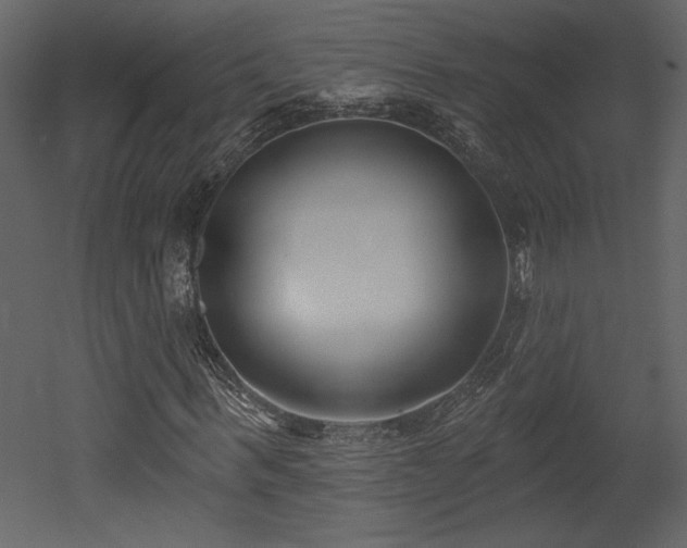 X0000052980963200507081118