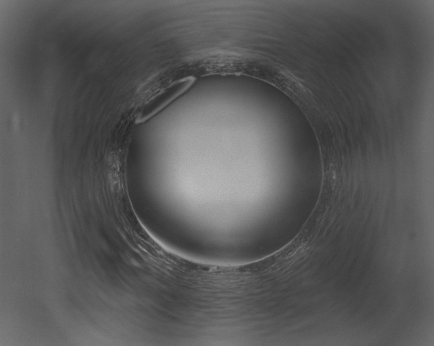 X0000052980964200507081118