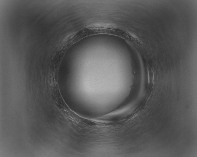 X0000052980965200507081118