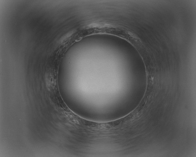 X0000052980966200507081118