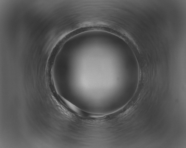 X0000052980975200507081118