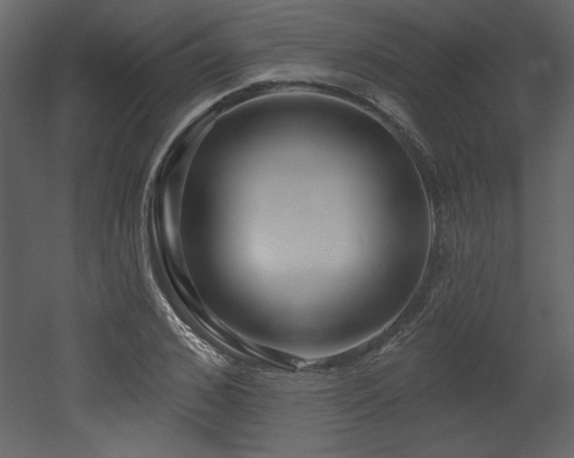 X0000052980976200507081118