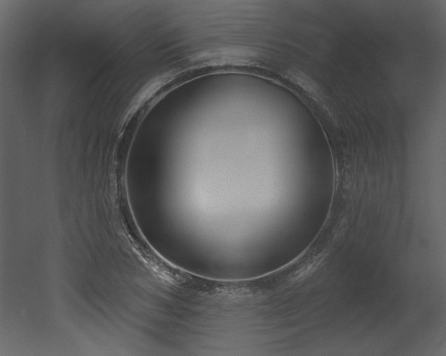 X0000052980978200507081118