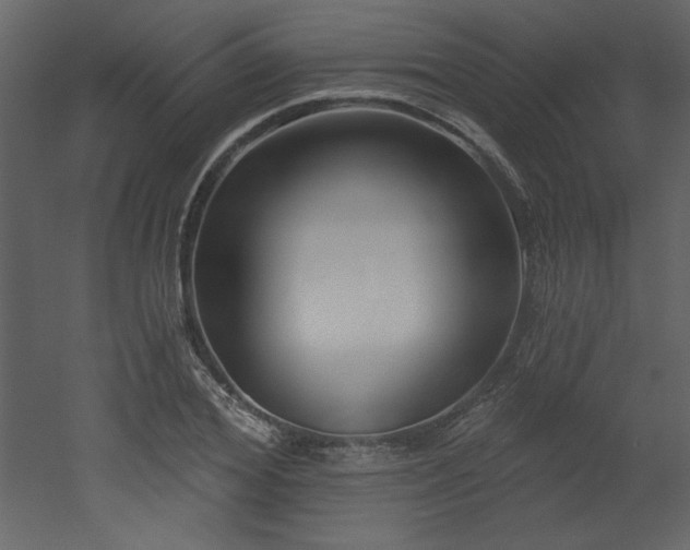 X0000052980980200507081118
