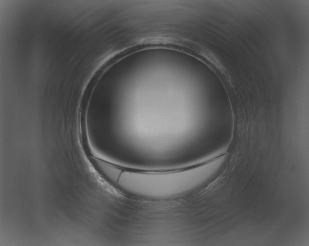 X0000052980984200507081118