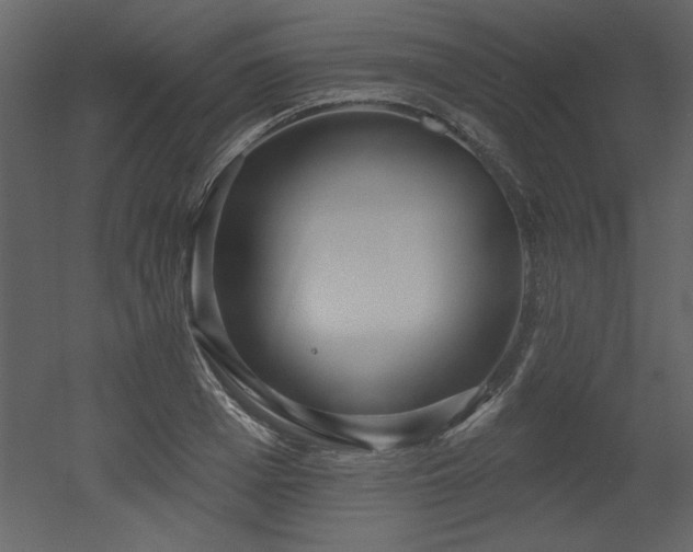 X0000052980985200507081118