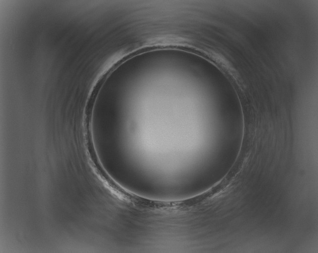 X0000052980990200507081118