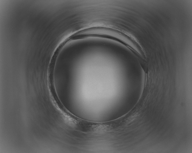 X0000052980991200507081118