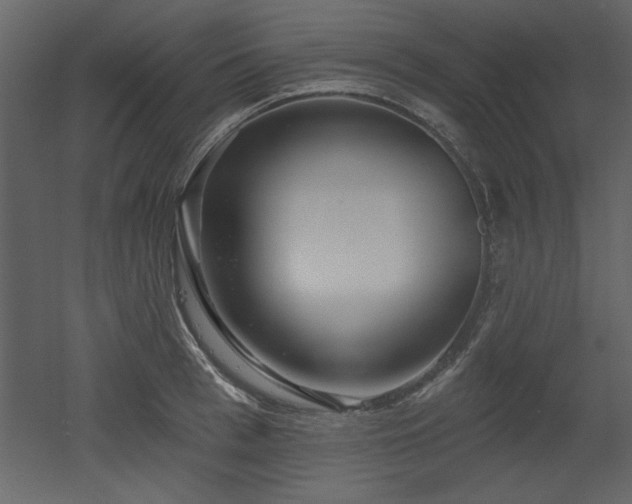 X0000052980993200507081118