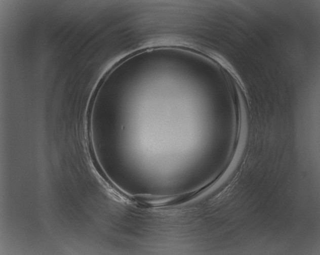 X0000052980996200507081118