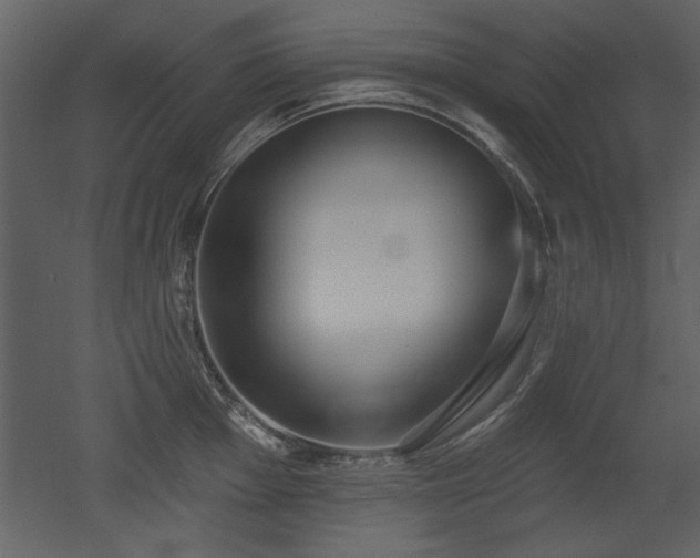 X0000052981001200507081118