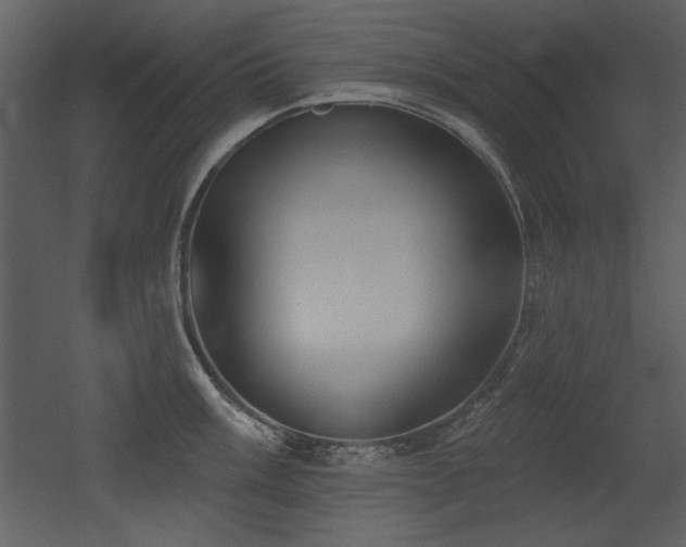 X0000052981003200507081118