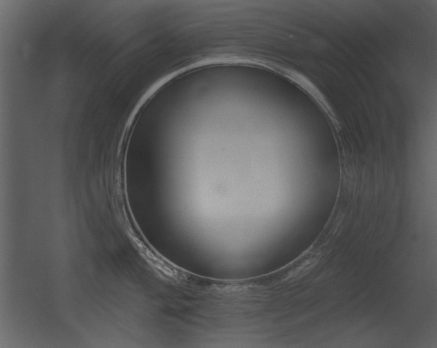 X0000052981004200507081118