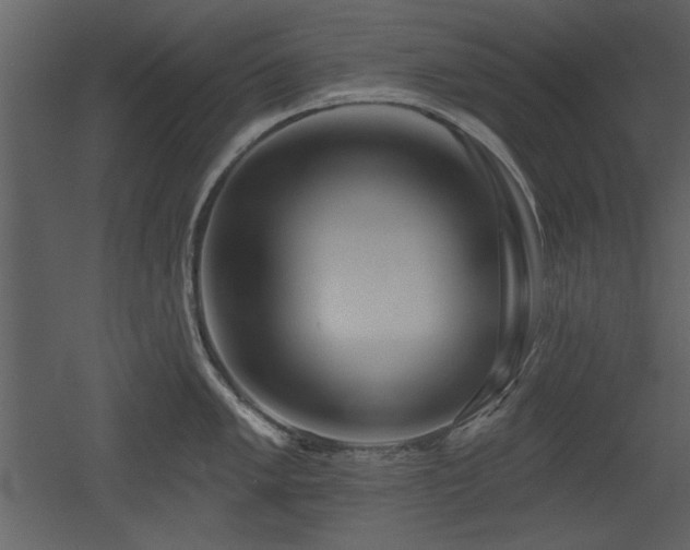 X0000052981005200507081118