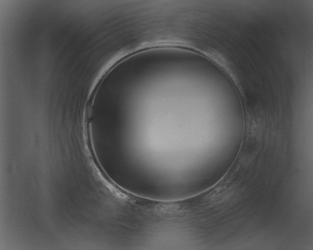 X0000052981006200507081118