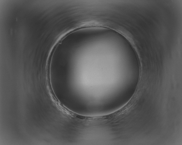 X0000052981008200507081118