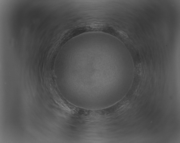 X0000052981009200507081117
