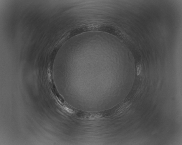 X0000052981011200507081117