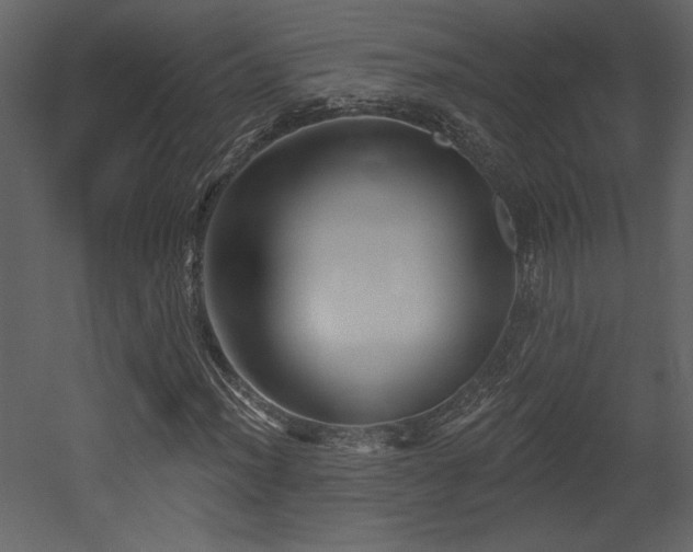 X0000052981012200507081117