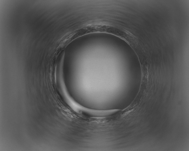 X0000052981014200507081117
