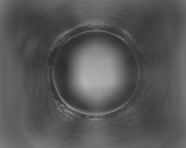 X0000052981016200507081117