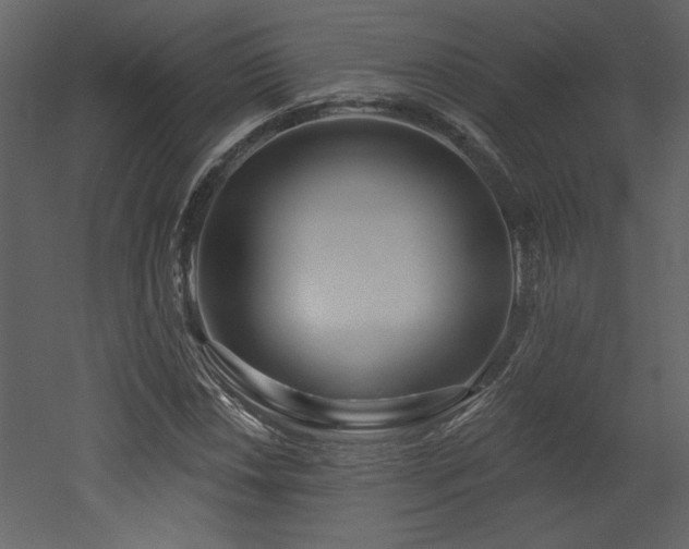 X0000052981018200507081117
