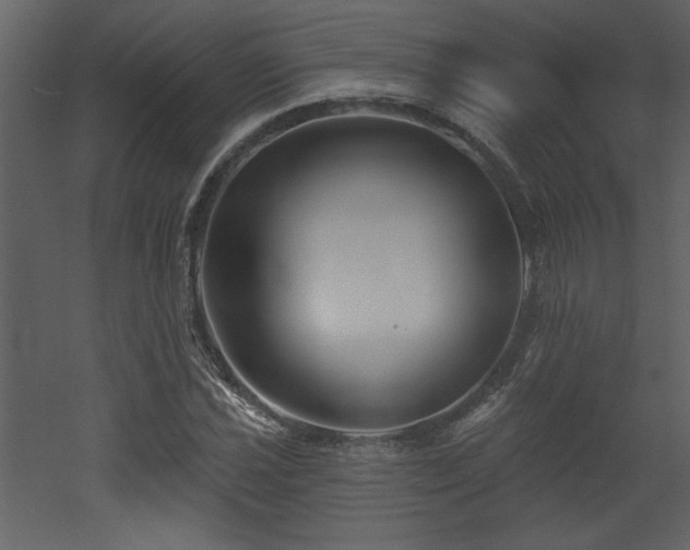 X0000052981021200507081117