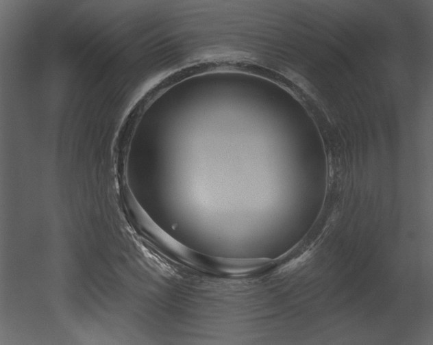 X0000052981022200507081117