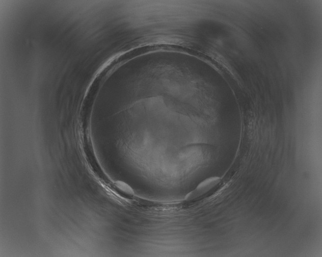 X0000052981024200507081117