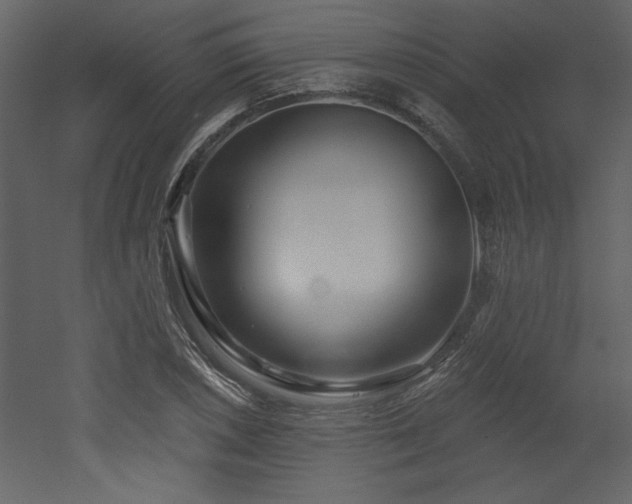 X0000052981026200507081117