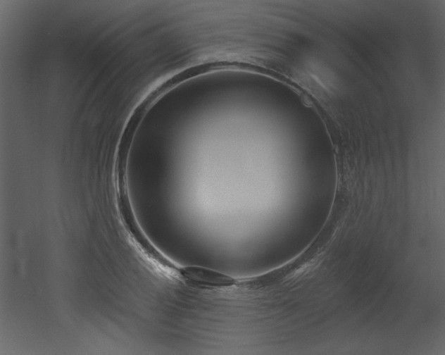 X0000052981028200507081117