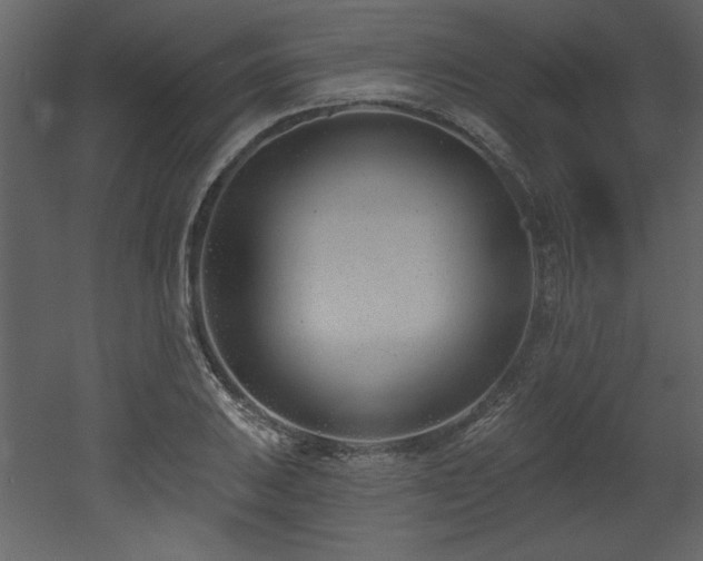X0000052981031200507081117