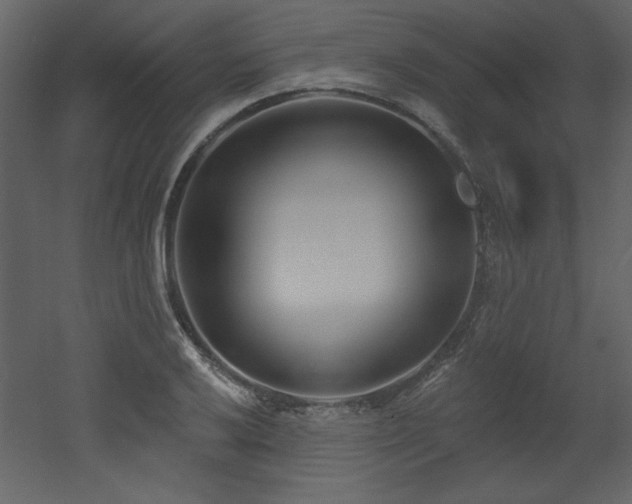 X0000052981032200507081117