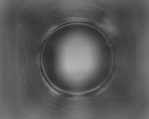 X0000052981033200507081117