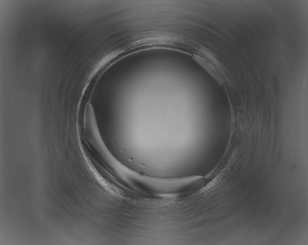 X0000052981034200507081117