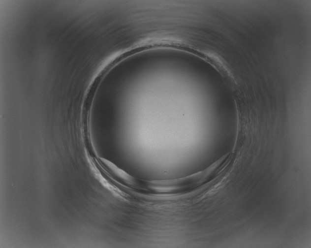 X0000052981038200507081117