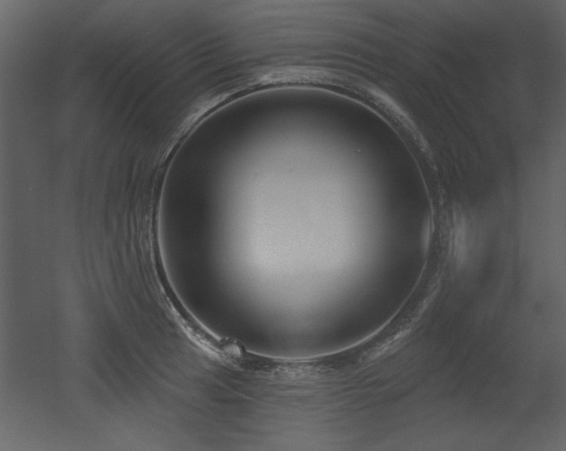 X0000052981041200507081117