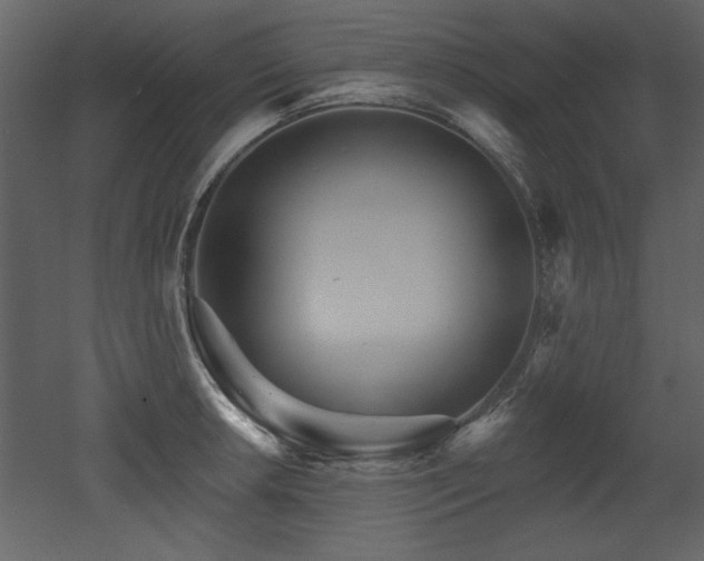 X0000052981042200507081117