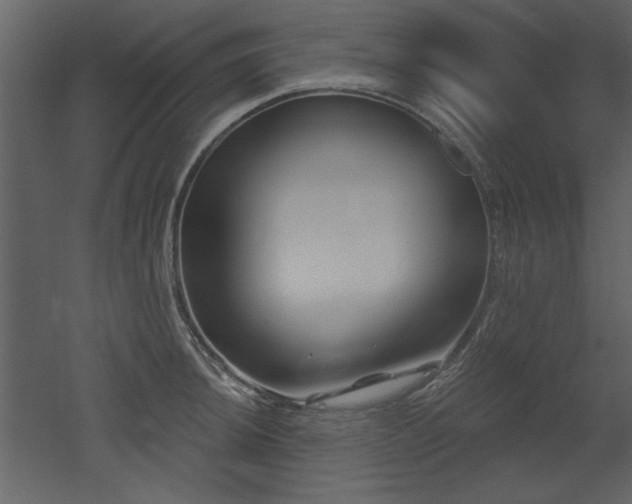 X0000052981044200507081117