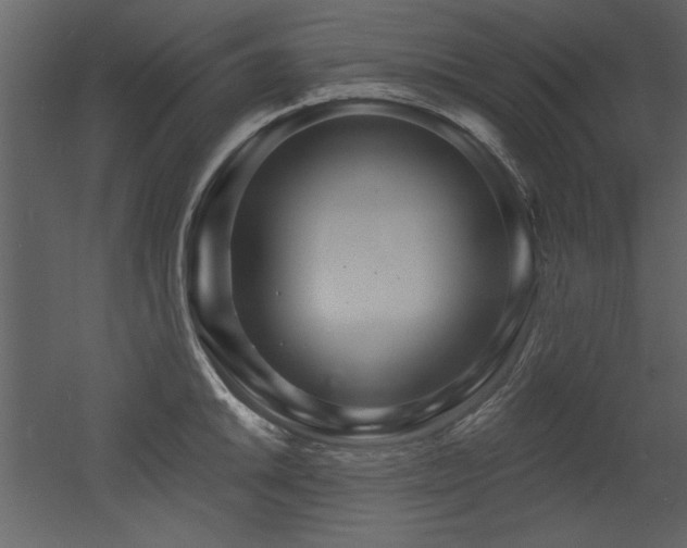 X0000052981046200507081117