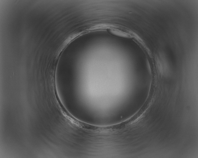 X0000052981049200507081117