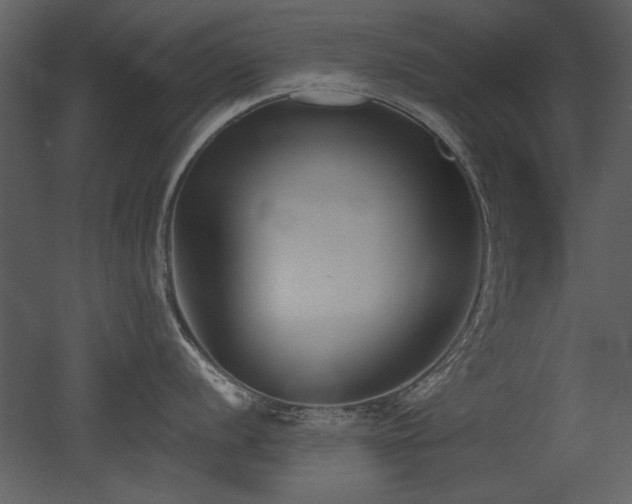 X0000052981056200507081118